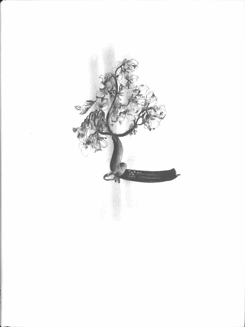 Marianne Vermeijden : Seelenbriefe Marjolijn van de Assem