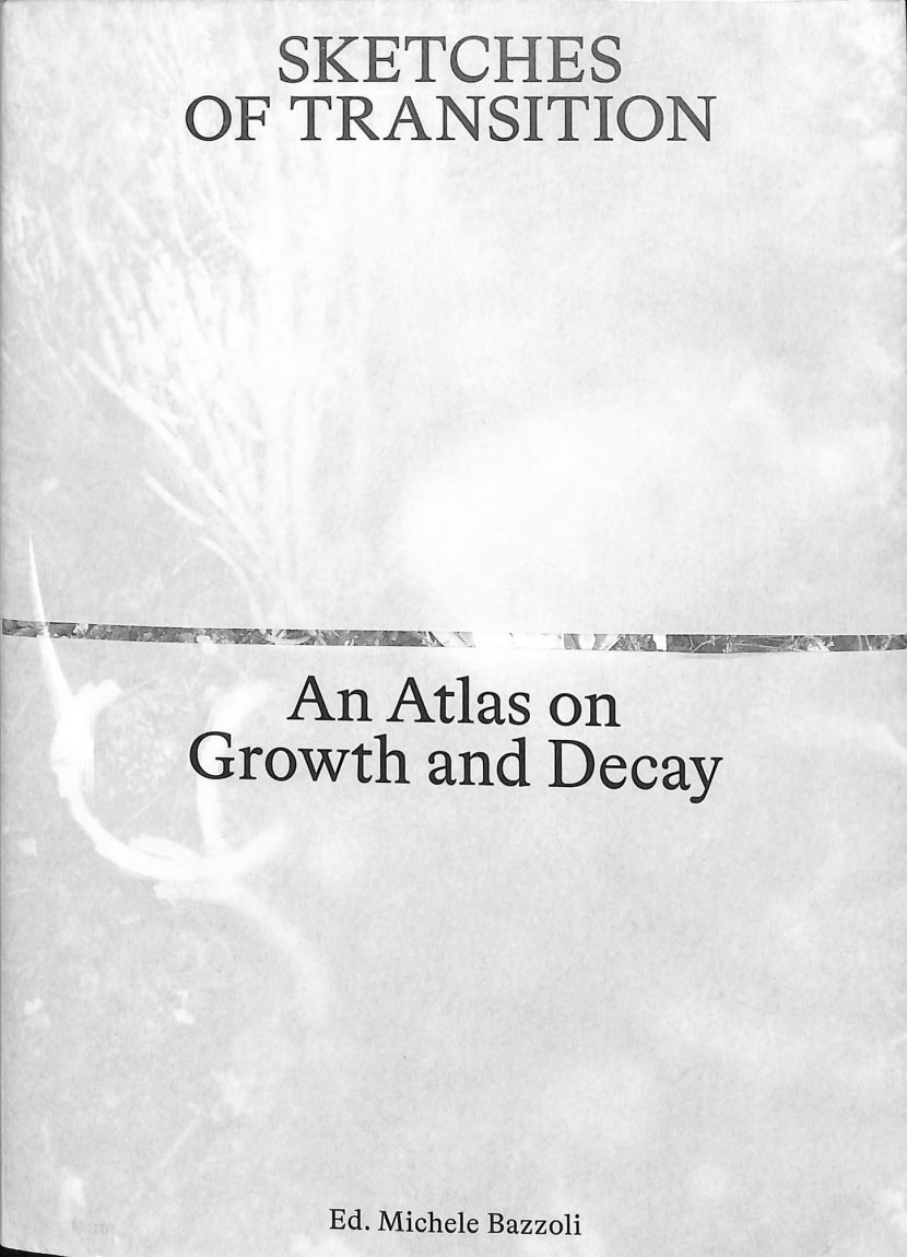 Ed. Michele Bazzoli : Sketches of Transition